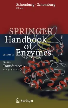 Class 2 Transferases V
