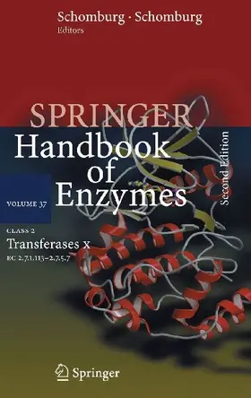 Class 2 Transferases X
