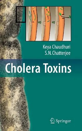 Cholera Toxins