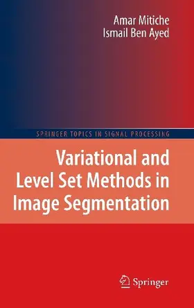 Variational and Level Set Methods in Image Segmentation