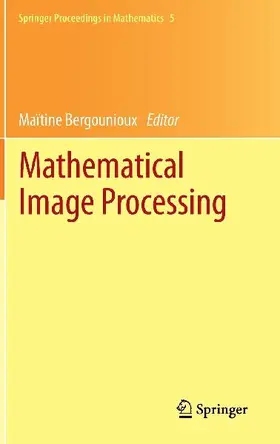 Mathematical Image Processing