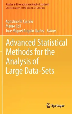 Advanced Statistical Methods for the Analysis of Large Data-Sets