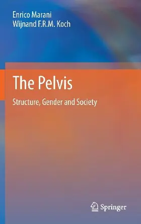 The Pelvis