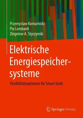 Elektrische Energiespeichersysteme