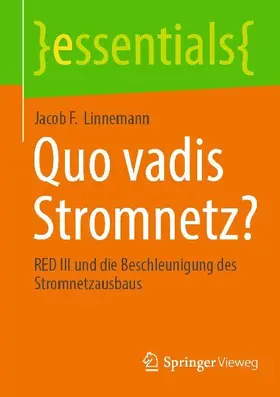 Quo vadis Stromnetz?