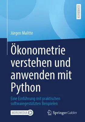 Ökonometrie verstehen und anwenden mit Python