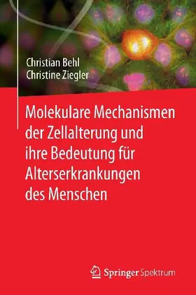 Molekulare Mechanismen der Zellalterung und ihre Bedeutung für Alterserkrankungen des Menschen