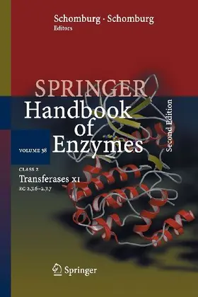 Class 2 Transferases XI