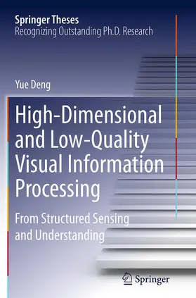High-Dimensional and Low-Quality Visual Information Processing