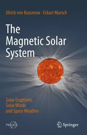 The Magnetic Solar System