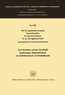 Das Verhalten und der Verschleiß hochwertiger Schamottesteine im Hochofenschacht und Hochofenrast