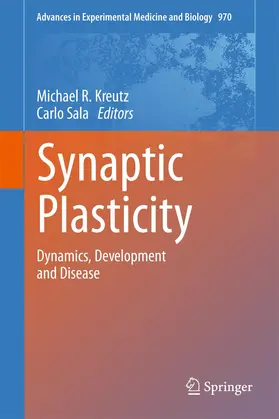 Synaptic Plasticity