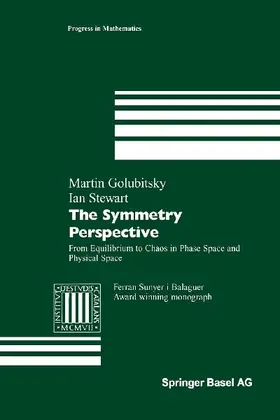 The Symmetry Perspective