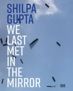 Shilpa Gupta. we last met in the mirror