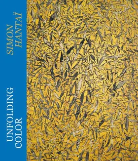 Unfolding Color - Simon Hantaï