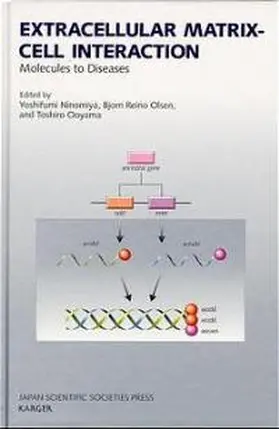 Extracellular Matrix-Cell Interaction