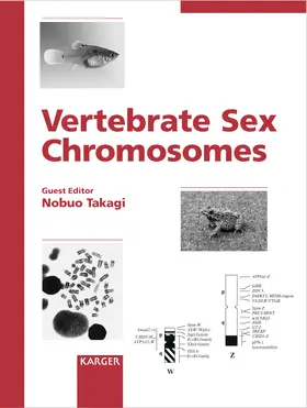 Vertebrate Sex Chromosomes