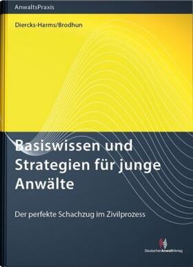 Basiswissen und Strategien für junge Anwälte