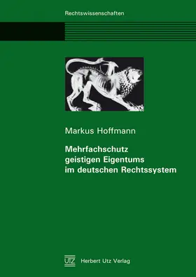 Mehrfachschutz geistigen Eigentums im deutschen Rechtssystem
