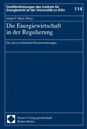 Die Energiewirtschaft in der Regulierung