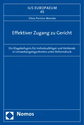 Effektiver Zugang zu Gericht