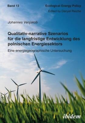 Qualitativ-narrative Szenarios für die langfristige Entwicklung des polnischen Energiesektors. Eine energiegeographische Untersuchung