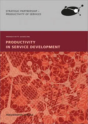 Productivity in Service Development