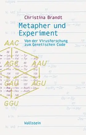 Metapher und Experiment