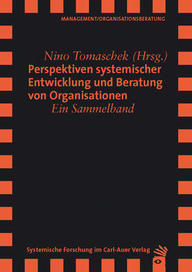 Perspektiven systemischer Entwicklung und Beratung von Organisationen