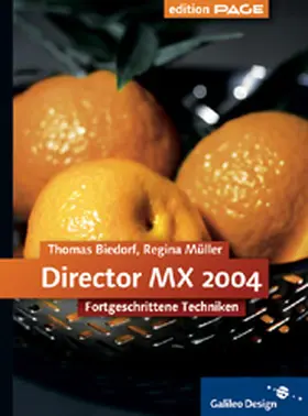 Director MX 2004