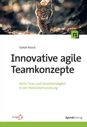 Innovative agile Teamkonzepte