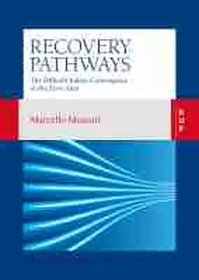 Recovery Pathways: The Difficult Italian Convergence in the Euro Area