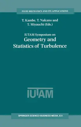 IUTAM Symposium on Geometry and Statistics of Turbulence