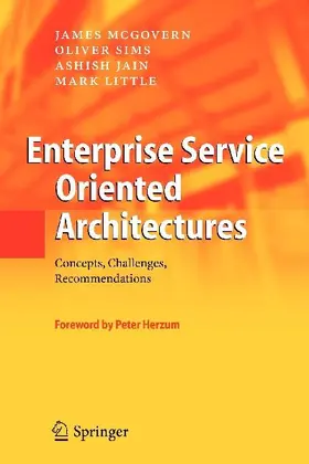 Enterprise Service Oriented Architectures
