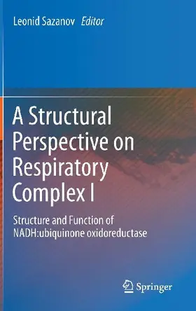 A Structural Perspective on Respiratory Complex I