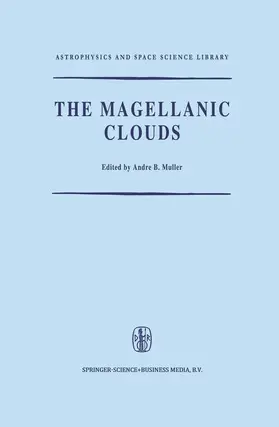 The Magellanic Clouds