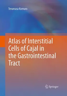 Atlas of Interstitial Cells of Cajal in the Gastrointestinal Tract