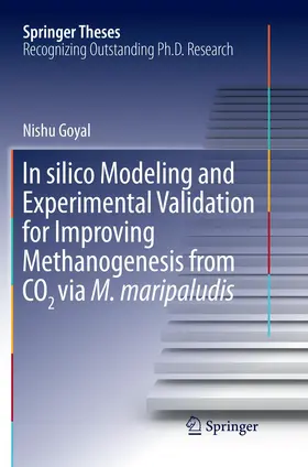 In Silico Modeling and Experimental Validation for Improving Methanogenesis from CO2 Via M. Maripaludis