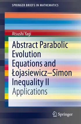 Abstract Parabolic Evolution Equations and ¿ojasiewicz-Simon Inequality II