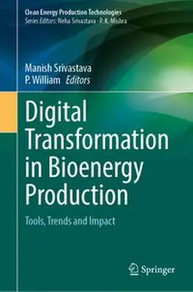 Digital Transformation in Bioenergy Production