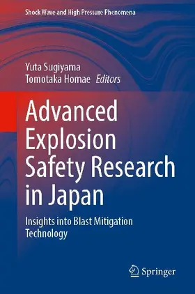 Advanced Explosion Safety Research in Japan