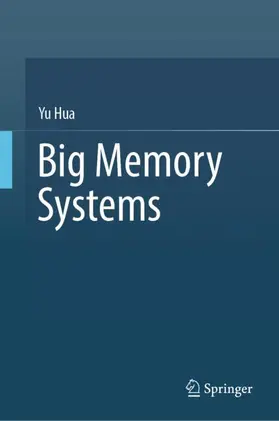 Big Memory Systems