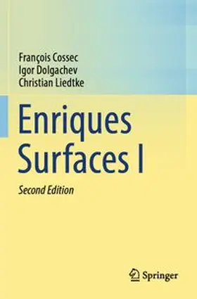 Enriques Surfaces I