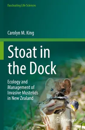 Stoat in the Dock