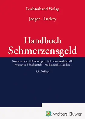 Handbuch Schmerzensgeld