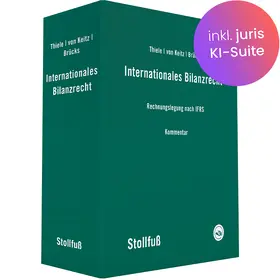 Internationales Bilanzrecht Kommentar