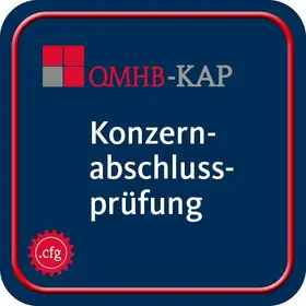 Konzernabschlussprüfung - QMHB