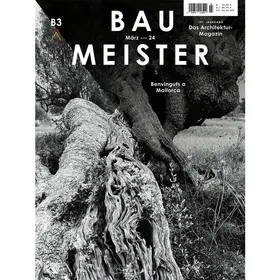 Baumeister