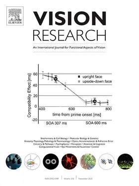 Vision Research