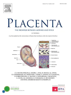 Placenta